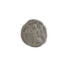 Denarius; Roman deities; wreaths; palm branches. Septimius Severus (Roman emperor; 146–211) —