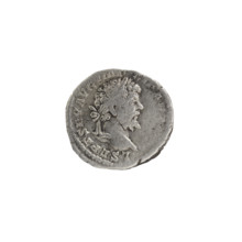Denarius; obverse: LSEPTSEVAVGIMP XIPARTMAX — Head of Septimius Severus in a laurel wreath facing