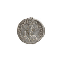 Denarius, Roman; obverse legend SEVERVSAVG, MAX. Head of Septimius Severus in a laurel wreath