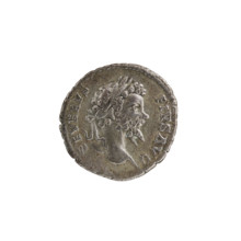 Denarius, Septimius Severus (Roman emperor; 146–211). Obverse: SEVERVS PIVS AVG — head of Septimius