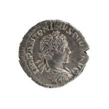 Denarius, Elagabalus (204–222; Roman emperor 218–222). Obverse: Bust of Elagabalus with laurel