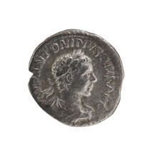Denarius, Elagabalus (204–222; Roman emperor 218–222). Obverse: IMP ANTONINVS PIVS AVG — Bust of