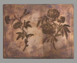 Peony and bindweed. On the left a sprig of peony, on the right a bindweed. Engraving made using the