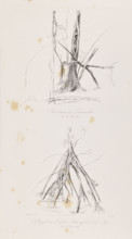 1) Tree trunk on the island of Tuaimaiduba, December 30, 1842; 2) Roots of the passuiba palm on the