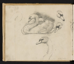 Sketches of swans for the painting 'Pond in Radziejowice' (1898); on both sides, Józef Chelmonski