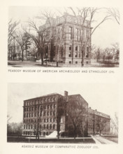 Peabody Museum of American Archeology and ethnology, Agassiz Museum of Comparative Zoology, page,