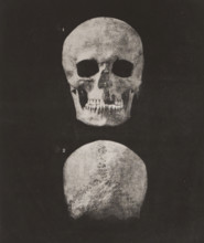 Two views of a human skull, front view and back view, 1. TÊTE HUMAINE FACE, 2. IDEM OCCIPUT VOIR PL