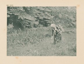 Woman picking flowers in a meadow, page, photomechanical print, inscription: 'Summer landscape by