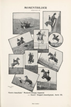 Collage of eight images of jumping horses with riders, page, photomechanical print, inscription: