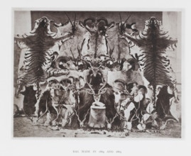 Bag made in 1864 and 1865, page, photomechanical print, c. 1865 - in or before 1876, paper,