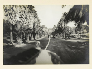 Beverly Hills, Hollywood, California, United States: view from a moving car, Beverij Hills