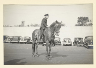 Police officer on horseback, Hoboken pier, New York, United States, Traffic officer in front of the