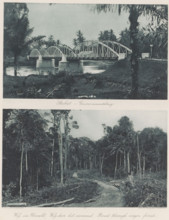 Stabat - Government Bridge (above), Road through the jungle (below), Bridge at Stabat (above) and