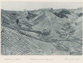 Tobacco fields on hilly terrain, Tobacco fields on the hills of Sumatra, photomechanical print,