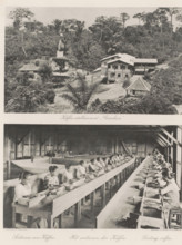 Coffee establishment 'Greahan' (above), The sorting of coffee (below), Coffee establishment