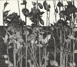 Vegetation in front of a wall, print, Vegetation in front of a wall., inscription: '1e STAAT',