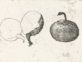 Gourds, print, Two gourds, one in half., signature: 'KEES STOOP', printmaker: Kees Stoop (signed by