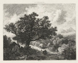 Landscape with a large tree by a brook, print, Series number, 30, printmaker: Johannes Arnoldus