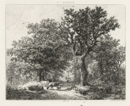 Forest scene with cattle, print, Series number, 28, printmaker: Johannes Arnoldus Boland,