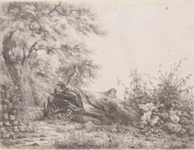 Fallened tree at the edge of the forest, Five etching proofs, print, printmaker: Pierre Louis