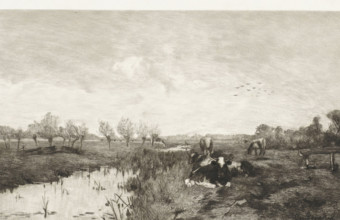Calendar 1895, Polder landscape with cows, calendar, print, Cows are lying and standing in a meadow