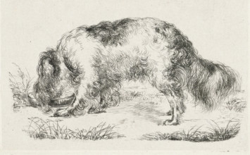 Drinking dog, print, printmaker: Guillaume Anne van der Brugghen, 1832, paper, chine collé,