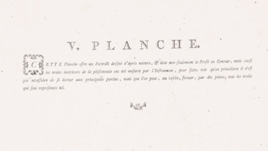 V. Plate., Explanation of the portrait of a man, text sheet, Series number, 5, 12, Text sheet with