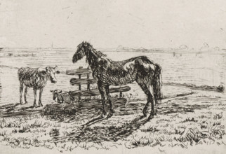 Meadow with a horse and two cows, print, A horse and a cow are standing by a fence in a meadow. A