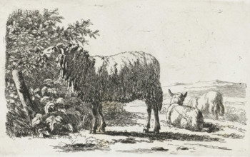 Landscape with three sheep, print, printmaker: Simon van den Berg, Netherlands, 1822 - 1899, paper,
