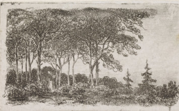 Woman by a row of trees, print, A wooded landscape with a woman with a basket on her back in the