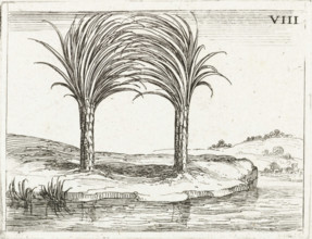 Two palm trees, Life of Mary in emblems, print, cognizance, Series number, 8, 26, Representation of