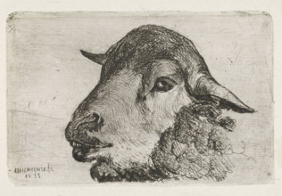Sheep head, print, printmaker: Jan Heppener, The Hague, 1855, paper, chine collé, etching, etching