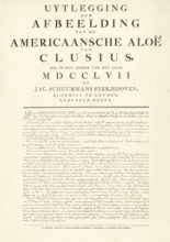 Explanation of the print of the flowering American Aloe, 1757, Explanation of the Illustration of