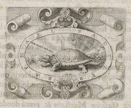 Turtle in a cartouche, print, book illustration, A cartouche with a turtle in a landscape and the