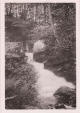Waterfall in Fairy Dell, page, photomechanical print, c. 1890 - c. 1900, paper, collotype,