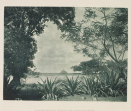 View of the Jetavanaramaya stupa at Anuradhapura, Sri Lanka, page, photomechanical print, title:
