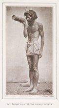The pâlâl salutes the sacred cattle, page, photomechanical print, number: 'No. 17', photographer: