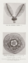 Head and antennae of moth, Section of flower-bud, page, photomechanical print, inscription: 'x 5. x