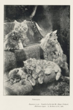 Persians, page, photomechanical print, inscription: 'Exposure 1, 15 sec.', photographer: Edgar