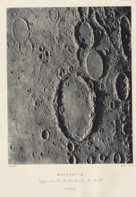 Wargentin, page, photomechanical print, inscription: 'Scale.', number: 'Plate Kingdom, publisher: