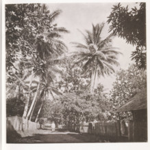 A street in Papeete, View of a street in Papeete on Tahiti, page, photomechanical print, number: