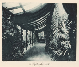 View of a plant-decorated corridor at the Royal Joh. Enschedé printing house, in honor of the visit