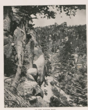 On the Ruxton trail, Landscape near Pikes Peak with people on donkeys, page, photomechanical print,