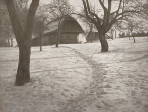 House and trees in the snow, page, photomechanical print, photographer: Heinrich Bachmann, cliché
