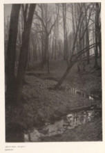 Stream in a forest, Spätherbst, page, photomechanical print, photographer: Alfred Enke, cliché
