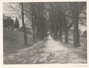 Forest road with trees on either side, page, photomechanical print, photographer: H. Vonachten,