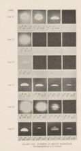 Overview of the progression of the sunset as seen from Mount Hamilton in California, Plate XVI.