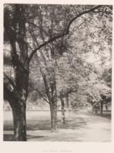 Old wall avenue, photograph, page, photographer: Edward H. Hart, United States Naval Academy,