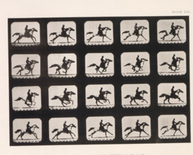 Twenty shots of a running horse, Mohammed, -Running. Stride, 15 Ft, 9 In., page, photomechanical