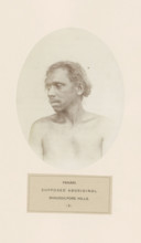 Portrait of an unknown man from the Mal Paharia tribe in eastern India, photograph, page,